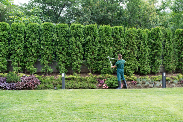 Best Lawn Fertilization  in Maytown, PA