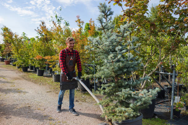 Best Weed Control  in Maytown, PA